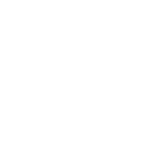 Nintendo Switch icon